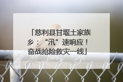 慈利县甘堰土家族乡：“汛”速响应！奋战抢险救灾一线