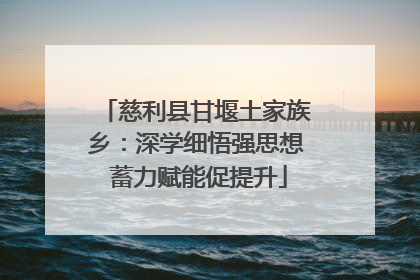 慈利县甘堰土家族乡：深学细悟强思想 蓄力赋能促提升