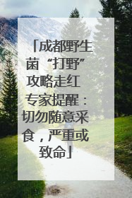 成都野生菌“打野”攻略走红 专家提醒：切勿随意采食，严重或致命