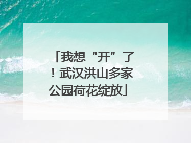 我想“开”了！武汉洪山多家公园荷花绽放