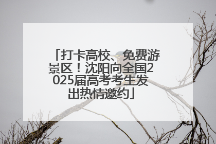 打卡高校、免费游景区！沈阳向全国2025届高考考生发出热情邀约