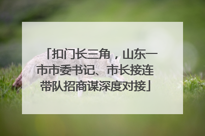 扣门长三角，山东一市市委书记、市长接连带队招商谋深度对接