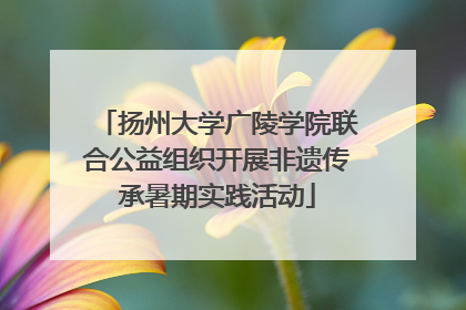扬州大学广陵学院联合公益组织开展非遗传承暑期实践活动