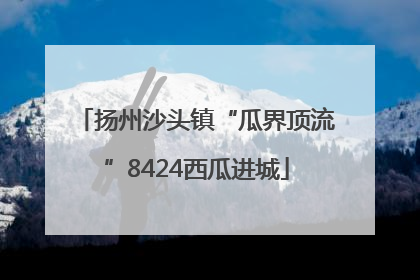 扬州沙头镇“瓜界顶流”8424西瓜进城