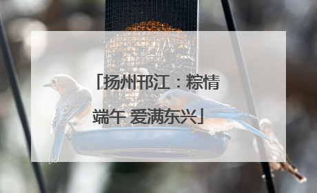扬州邗江：粽情端午 爱满东兴