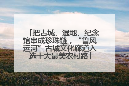 把古城、湿地、纪念馆串成珍珠链，“鲁风运河”古城文化廊道入选十大最美农村路