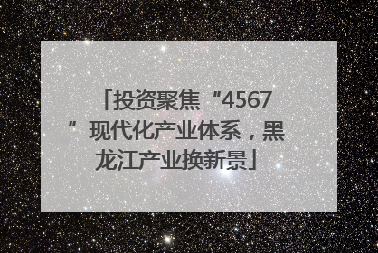 投资聚焦“4567”现代化产业体系，黑龙江产业换新景