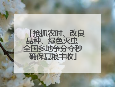 抢抓农时、改良品种、绿色灭虫 全国多地争分夺秒确保夏粮丰收