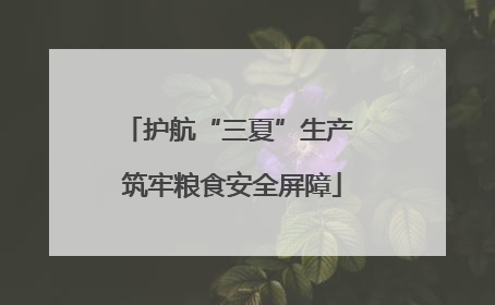 护航“三夏”生产 筑牢粮食安全屏障