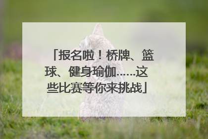 报名啦！桥牌、篮球、健身瑜伽……这些比赛等你来挑战