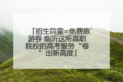 招生简章=免费旅游券 临沂这所高职院校的高考服务“卷”出新高度