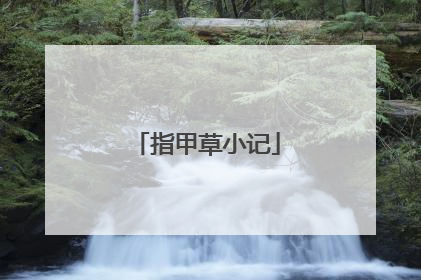 指甲草小记