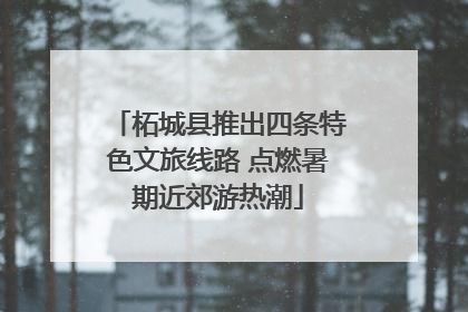 柘城县推出四条特色文旅线路 点燃暑期近郊游热潮