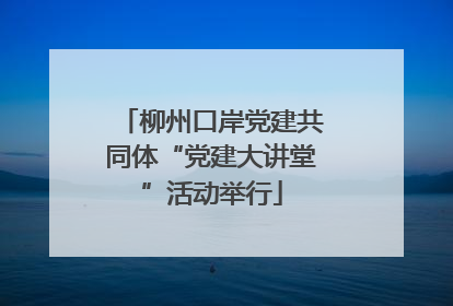 柳州口岸党建共同体“党建大讲堂”活动举行