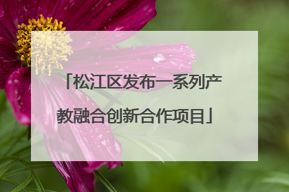 松江区发布一系列产教融合创新合作项目