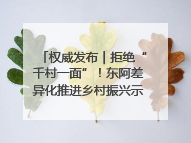 权威发布｜拒绝“千村一面”！东阿差异化推进乡村振兴示范片区建设