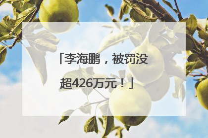 李海鹏，被罚没超426万元！