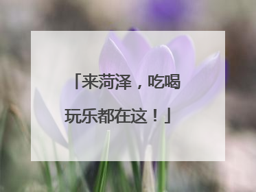来菏泽，吃喝玩乐都在这！