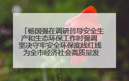 杨国强在调研督导安全生产和生态环保工作时强调 坚决守牢安全环保底线红线 为全市经济社会高质量发展提供坚强保障