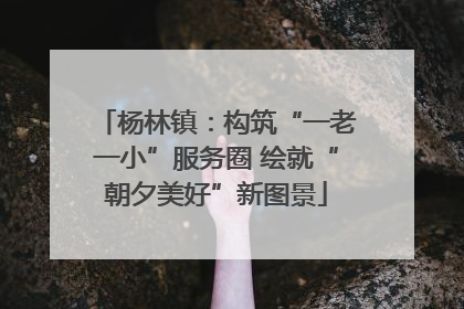 杨林镇：构筑“一老一小”服务圈 绘就“朝夕美好”新图景