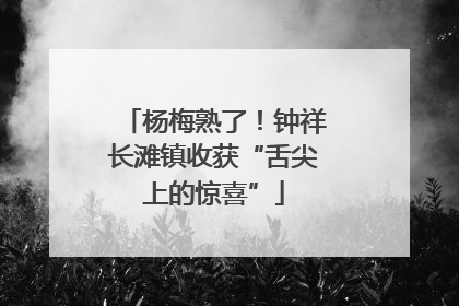 杨梅熟了！钟祥长滩镇收获“舌尖上的惊喜”