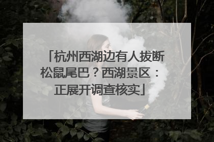 杭州西湖边有人拔断松鼠尾巴？西湖景区：正展开调查核实