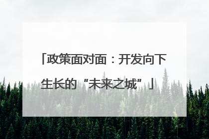 政策面对面：开发向下生长的“未来之城”