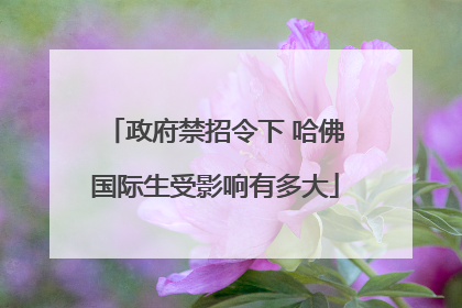 政府禁招令下 哈佛国际生受影响有多大