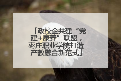 政校企共建“党建+康养”联盟，枣庄职业学院打造产教融合新范式