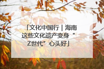 文化中国行｜海南这些文化遗产变身“Z世代”心头好