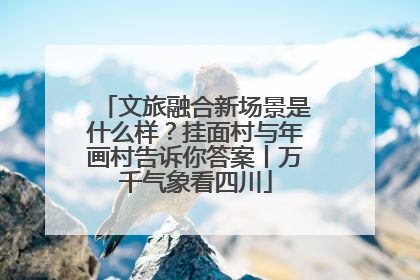 文旅融合新场景是什么样？挂面村与年画村告诉你答案丨万千气象看四川
