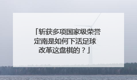 斩获多项国家级荣誉 定南是如何下活足球改革这盘棋的？
