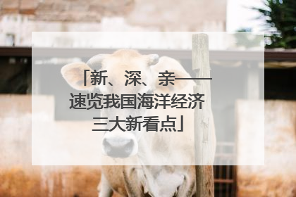 新、深、亲——速览我国海洋经济三大新看点