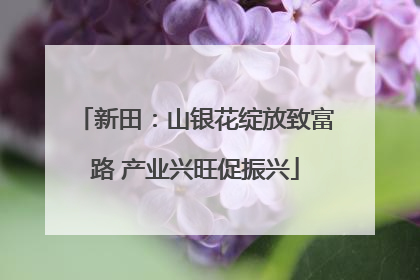 新田：山银花绽放致富路 产业兴旺促振兴