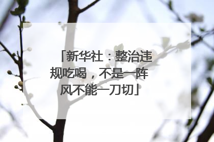新华社：整治违规吃喝，不是一阵风不能一刀切