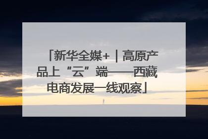 新华全媒+｜高原产品上“云”端——西藏电商发展一线观察