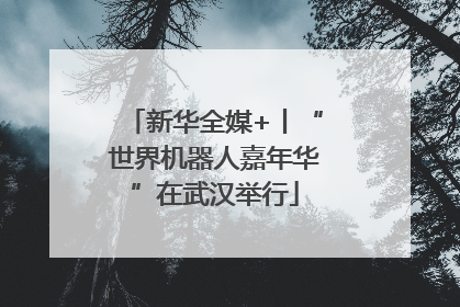 新华全媒+丨“世界机器人嘉年华”在武汉举行