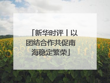 新华时评丨以团结合作共促南海稳定繁荣