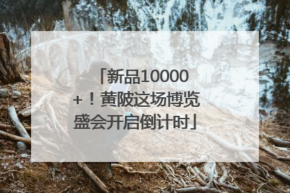 新品10000+！黄陂这场博览盛会开启倒计时