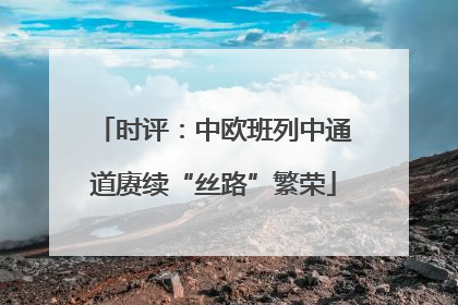 时评：中欧班列中通道赓续“丝路”繁荣