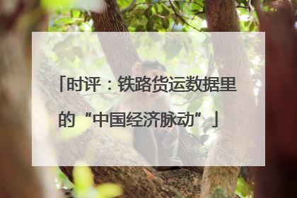 时评：铁路货运数据里的“中国经济脉动”