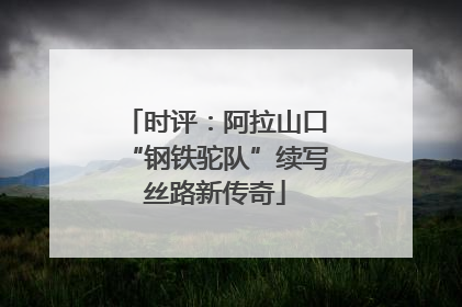 时评:阿拉山口“钢铁驼队”续写丝路新传奇