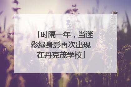 时隔一年，当迷彩绿身影再次出现在丹克茂学校