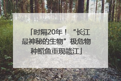 时隔20年！“长江最神秘的生物”极危物种鳤鱼重现赣江