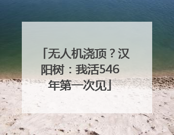 无人机浇顶？汉阳树：我活546年第一次见