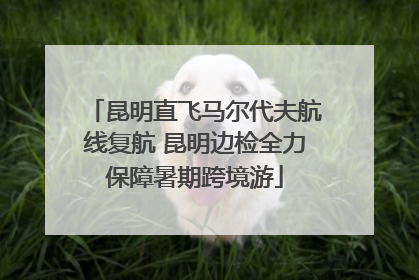 昆明直飞马尔代夫航线复航 昆明边检全力保障暑期跨境游