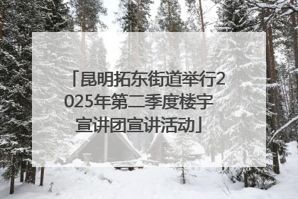 昆明拓东街道举行2025年第二季度楼宇宣讲团宣讲活动