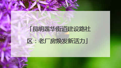 昆明莲华街道建设路社区：老厂房焕发新活力