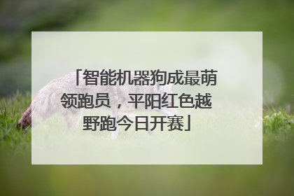 智能机器狗成最萌领跑员，平阳红色越野跑今日开赛