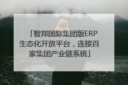智邦国际集团版ERP生态化开放平台，连接百家集团产业链系统